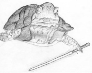 Just Jedi turtle stuff